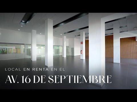 Previsualización del video