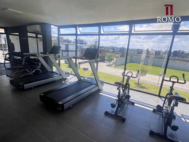 Foto de la galeria de imagenes