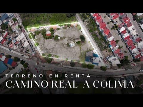 Previsualización del video